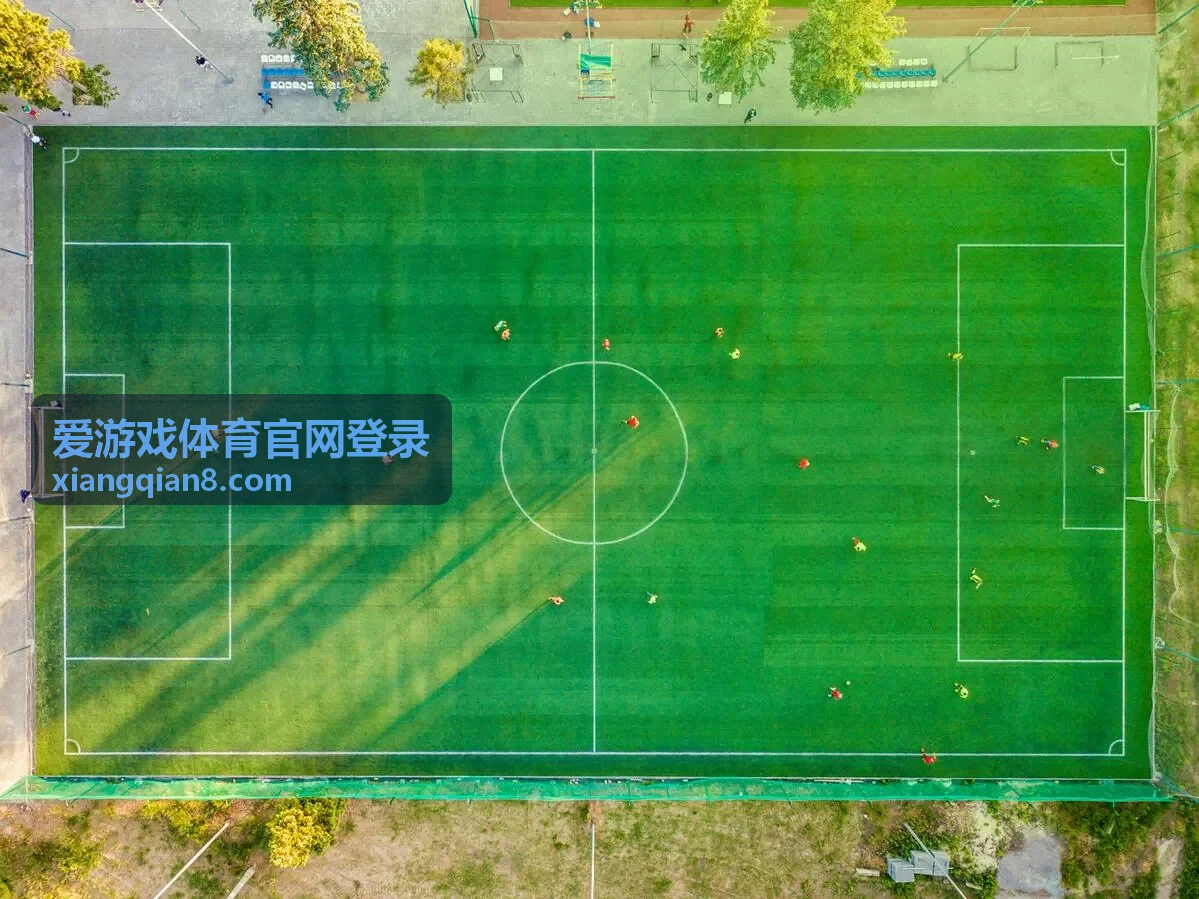 爱游戏体育官网登录赛事直播入口推荐图