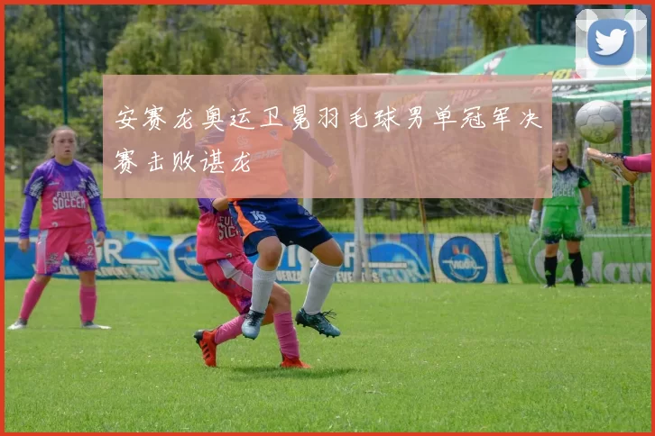 安赛龙奥运卫冕羽毛球男单冠军决赛击败谌龙