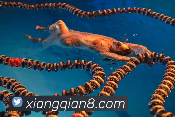 乐竞 - 乐竞(中国)一站式服务官网服务体系